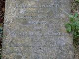 image of grave number 493387